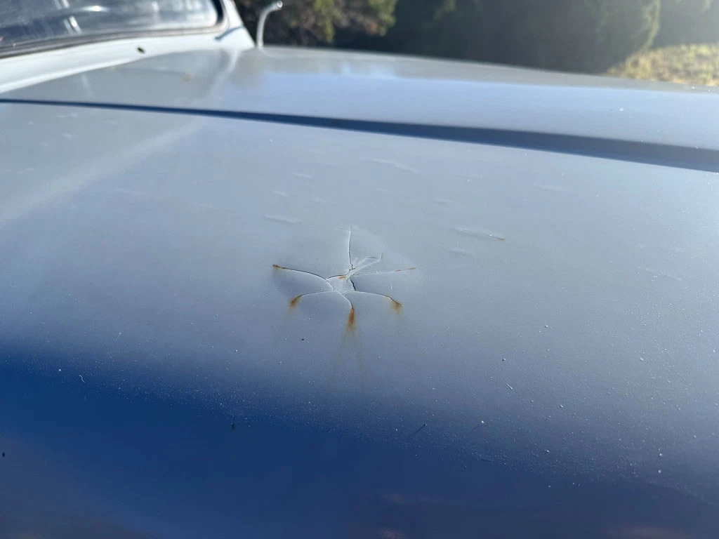 1952 Ford F3 Truck -engine is the ohv 6 that Rebuilt with less than 300 Miles