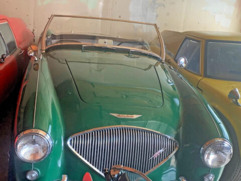 1954 Austin Healey 100-4 for sale